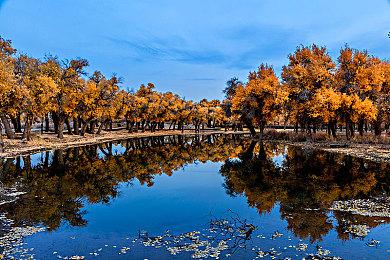 GOG喜加一：《黑暗之眼：桑缇娜夫的羁绊》免费领取